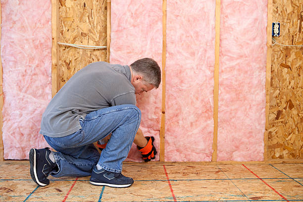 Best Commercial Insulation in St Paul, MO